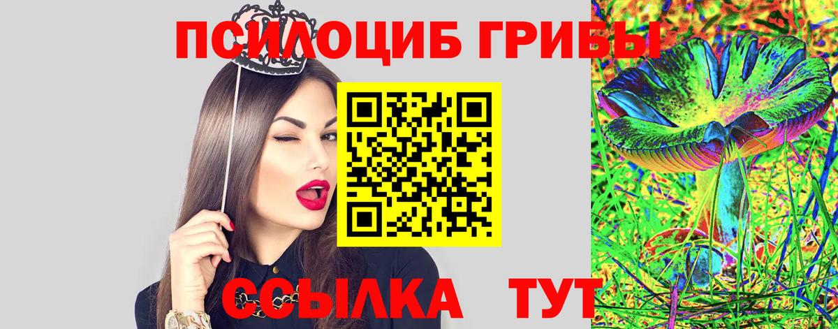 купить закладку  Вход с VPN  Волжск  Псилоцибиновые грибы Cubensis 