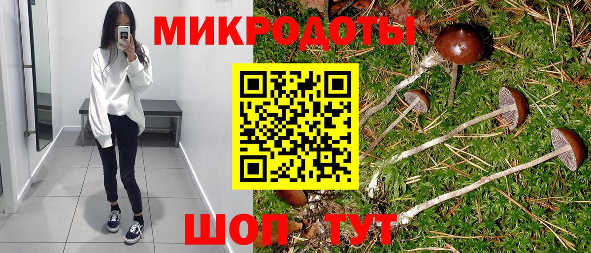 Галлюциногенные грибы Psilocybine cubensis Волжск
