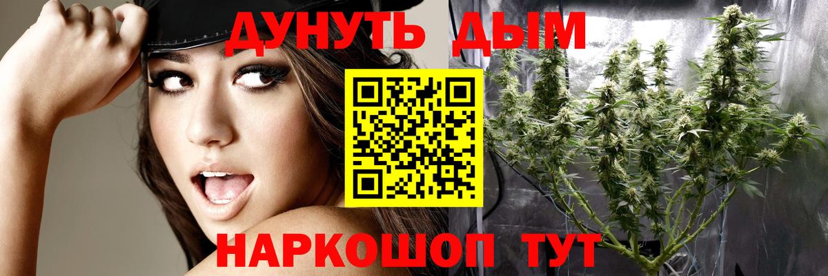 Волжск  Канабис ГИДРОПОН  Каннабис планчик  Вход с VPN 
